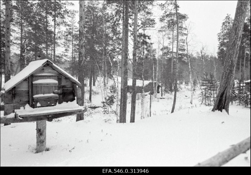 Traditsioonilised handi ehitised Siberis, kus komsomoli löökehitusel Pimi asulas töötavad mehed Eestist, et rajada autoteid naftaväljade teenindamiseks.