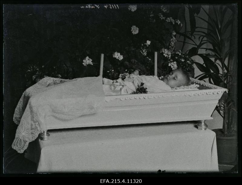 Lapse põrm kirstus, (foto tellija Siitan).