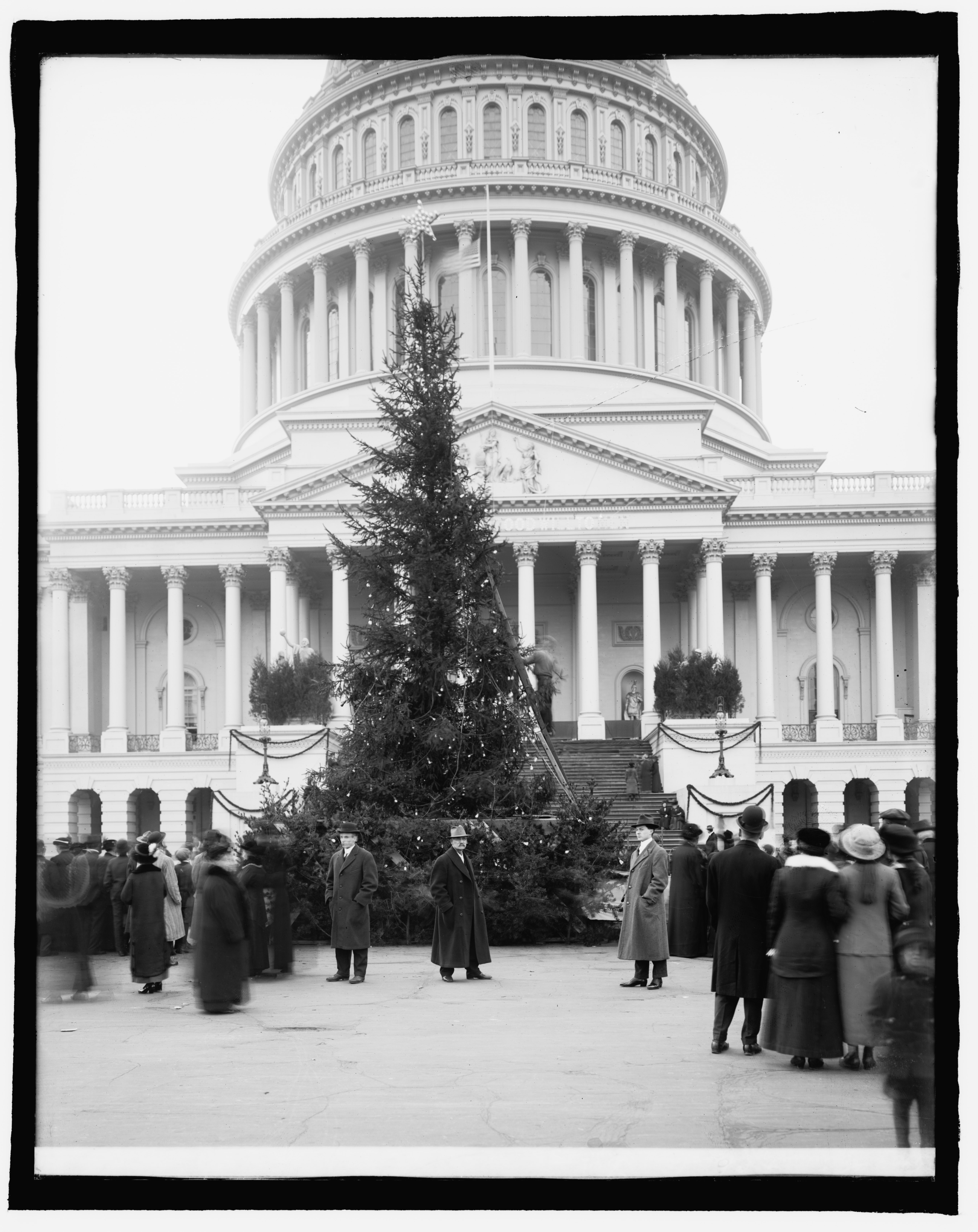 Community Christmas tree, (U.S. Capitol, Washington, D.C.) LCCN2016825066 - Title: Community Christmas tree, [U.S. Capitol, Washington, D.C.]
Abstract/medium: 1 negative : glass ; 8 x 10 in. or smaller