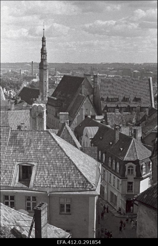 Vanalinna panoraam Toompealt. (suvine päev).