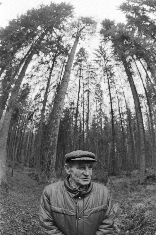 Eesti Põllumajanduse Akadeemia Järveselja õppe- katsemajandi metsatehnik August Juhkam Kuningmänni all (kõrgus 33m).