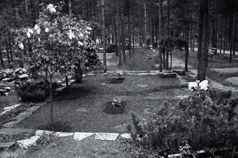 Vaade Metsakalmistule.