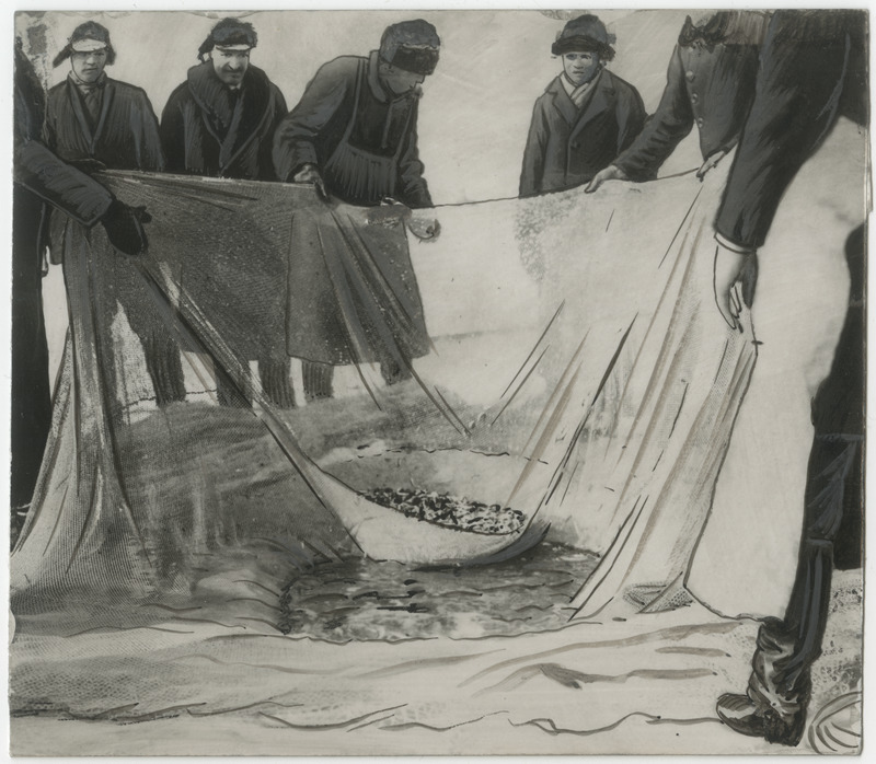 Kalurid kala jääaugust välja tõmbamas