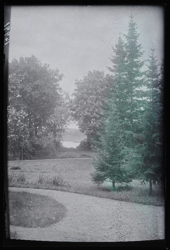 Vaade park-aiale, (foto tellija Kapp).