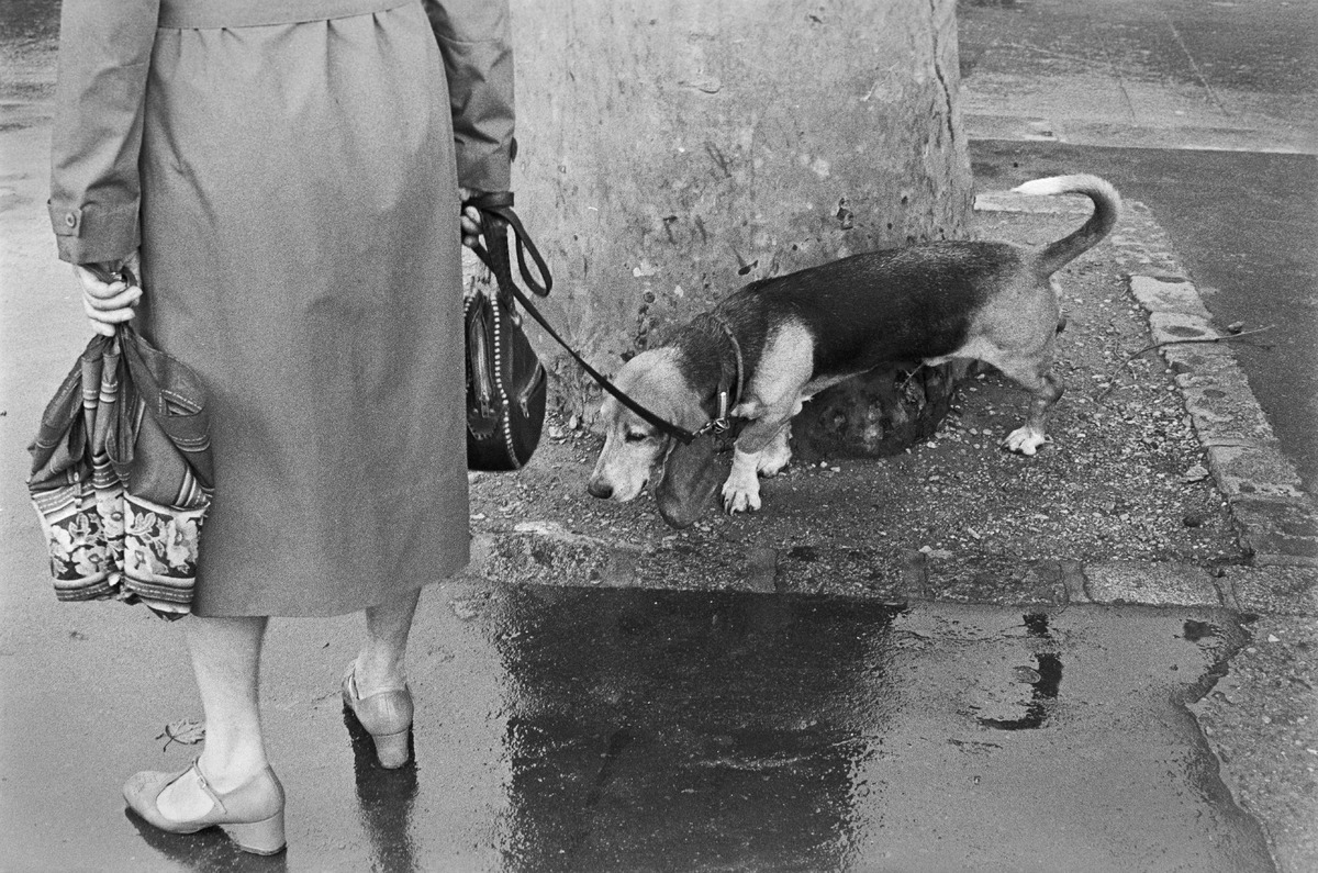 People and dogs in Paris, France, in autumn 1982.; Ihmisiä ja koiria Pariisissa syksyllä 1982.