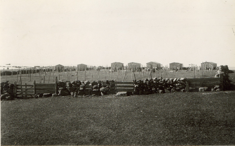 Võrgumajad võrguaias Osmussaarel.