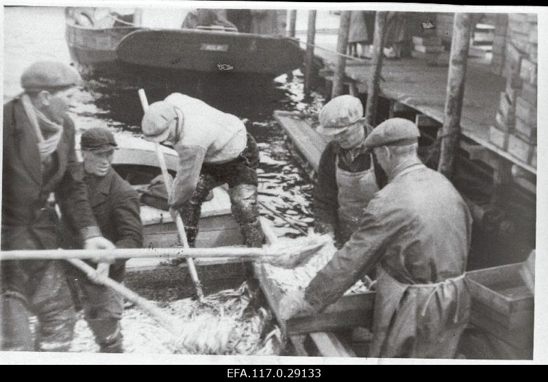 Eesti Kalandus. Räimepaadi tühjendamine Pärnu EKK harukontoris.
