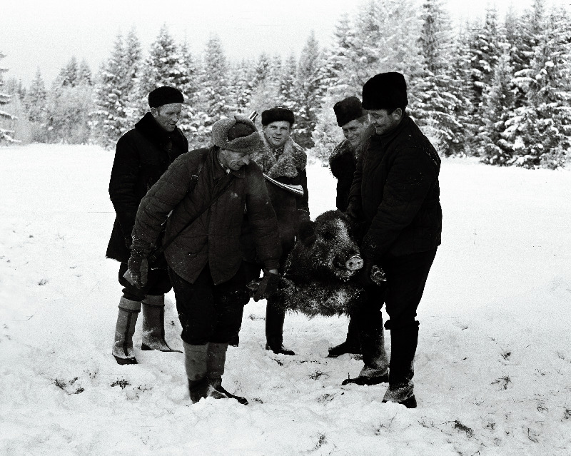 Ed. Vilde nimelises kolhoosis korraldatud ulukijahist osavõtjad saagiga.