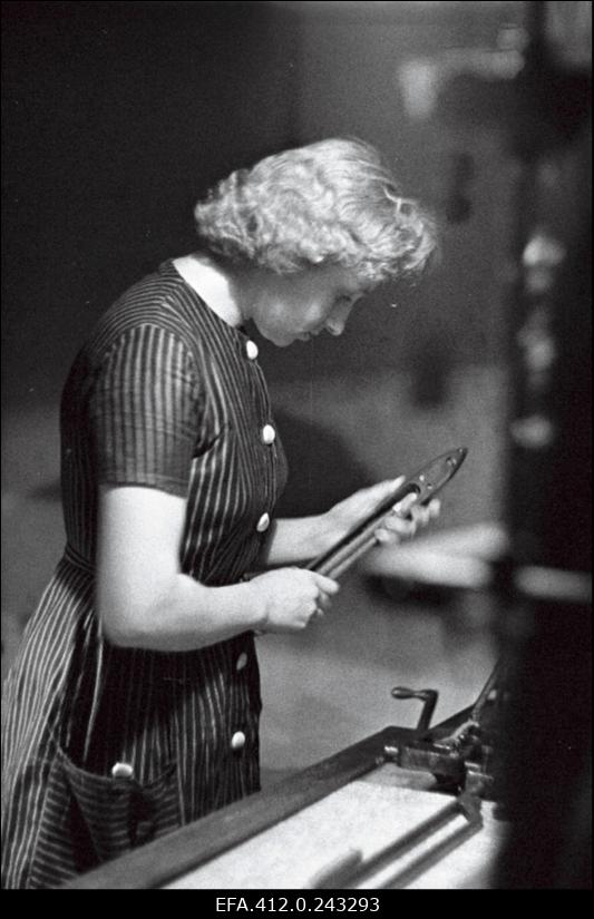 "Punase Koidu" kangur Aino Kõrtsini