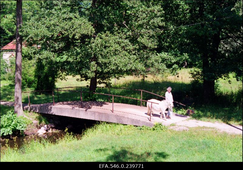 Vaade Saue mõisahoonele.