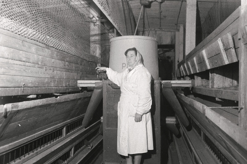 Kurtna Linnukasvatuse Katsejaama linnutalitaja Juuli Kivi - NSV Liidu Rahvamajanduse Saavutuste Näituse medali omanik.