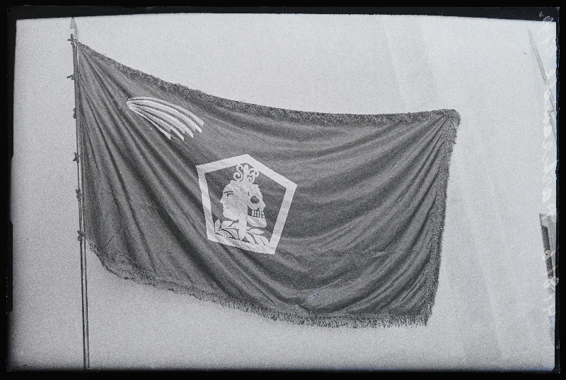 Sakala Partisanide Üksik Pataljoni lipp.