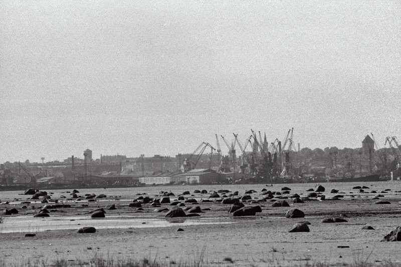 Tallinna panoraam (võetud Piritalt) ja valge reisijate laev saabub Tallinna.