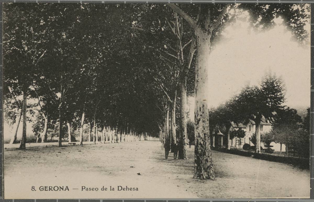 8. Gerona-Paseo de la Dehesa - The Paseo de la Dehesa seen from the Clock. On the right, the houses that give access to the Gardens of Queen Victoria.