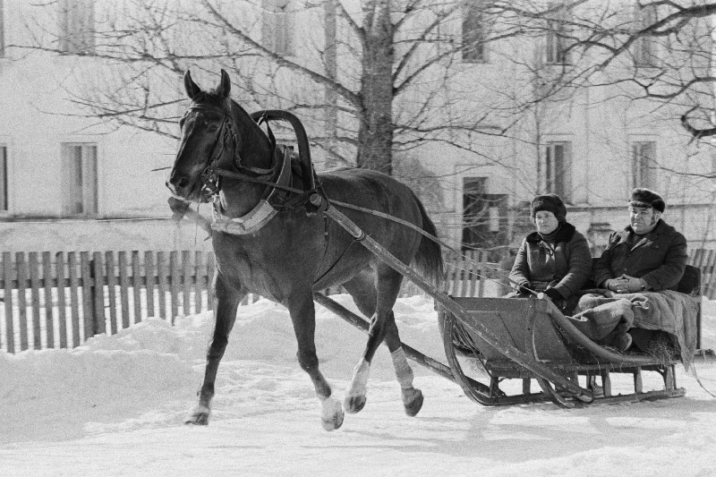 Jõgeva rajooni "Rahva Hääle" kolhoosi zootehnik Maret Mikk ja peazootehnik Artur Prok sõidavad 1983.a. üleliidulise traavitšempioni Kalliga.