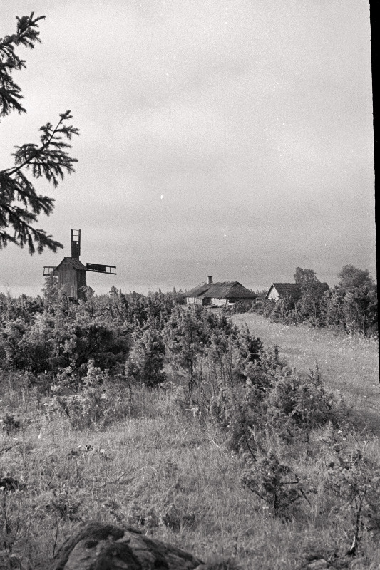 Hiiumaa maastik tuulikuga.