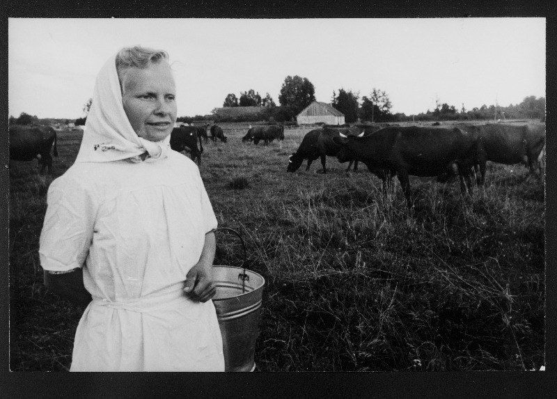 Mitšurini-nimelise kolhoosi lüpsja M. Veskisaar.