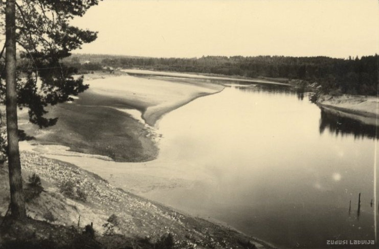 Sietiņiezis pie Gaujas