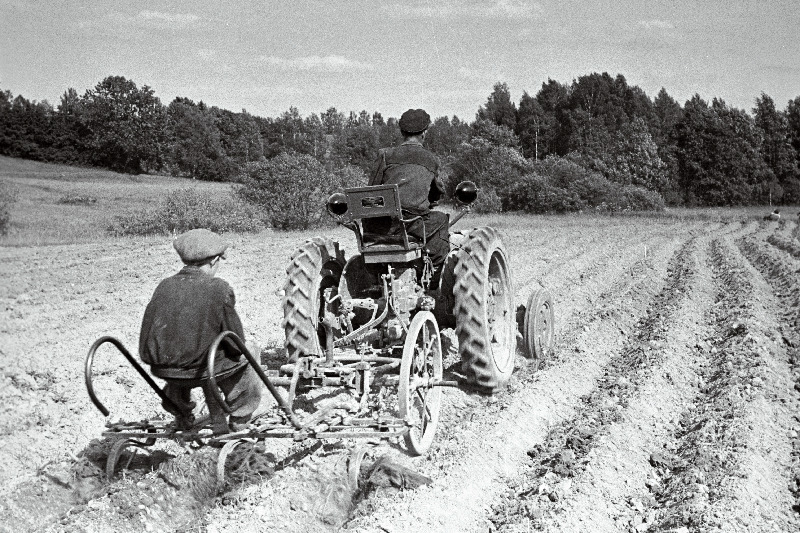 Viljandi traktorijaama traktorist Endel Kuus ja haakija Kalju Pärt kommunismi Tee kolhoosi seppade poolt valmistatud vaheltharimiskultivaatoriga kartulipõldu harimas.
