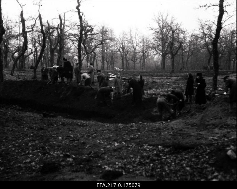 Rakvere Tammikus olnud sakslaste kalmistu likvideerimine.