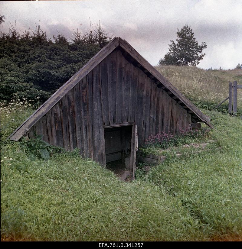 Stuudio "Tallinnfilm" muusikaline lastefilm "Nukitsamees" filmivõtted.
