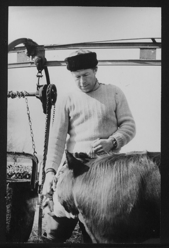 Tartu rajooni Sootaga sovhoosi noorveiste talitaja Ilmar Lea oma hoolealusega.