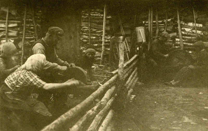 Vikatite käiamine enne heinatalgule minekut Kuke talus Hellamaa külas.