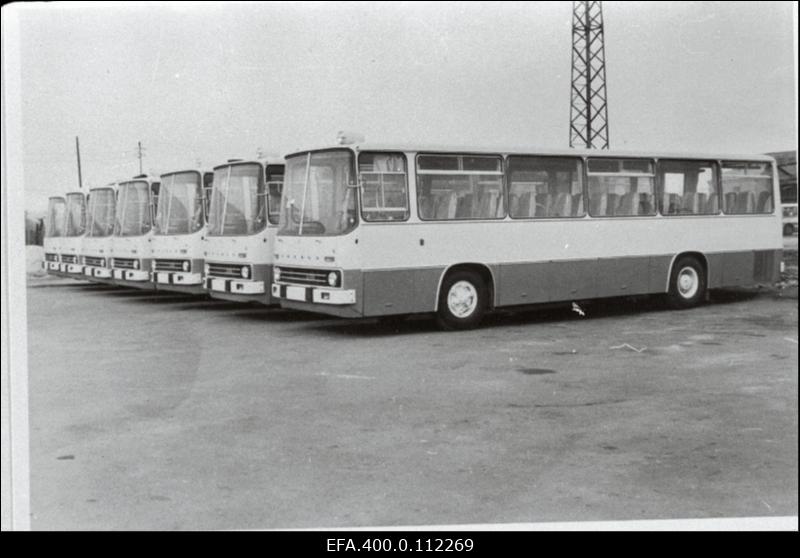 Tallinna Autobussipargi autobussid "Ikarus 255".
