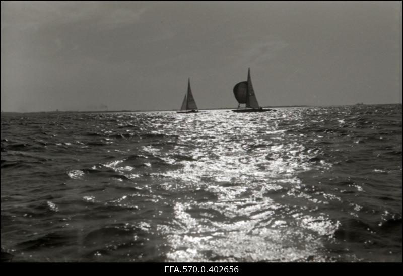 Jahid Tallinna lahel.