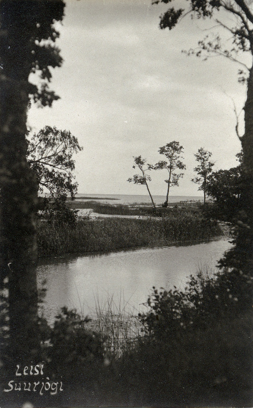 Leisi Suurjõe suudmeala.