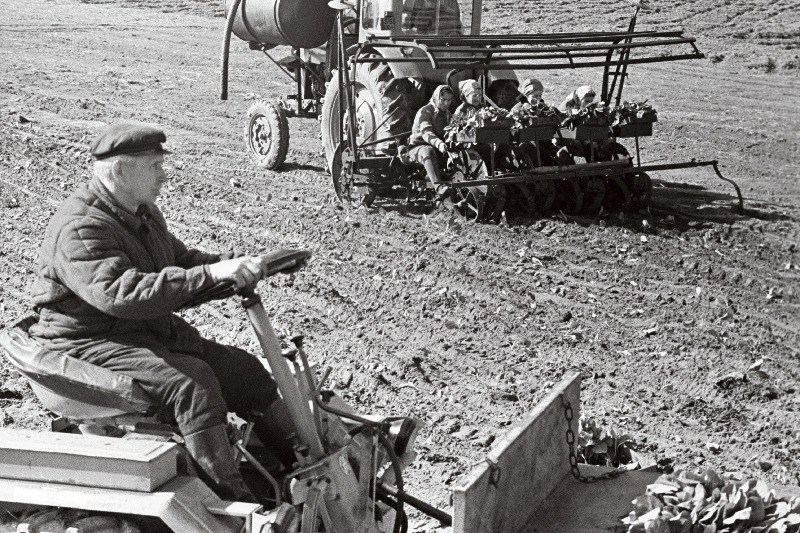 Kevadkülv Paala kolhoosis.