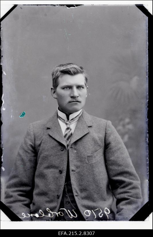 Warblane (Varblane).