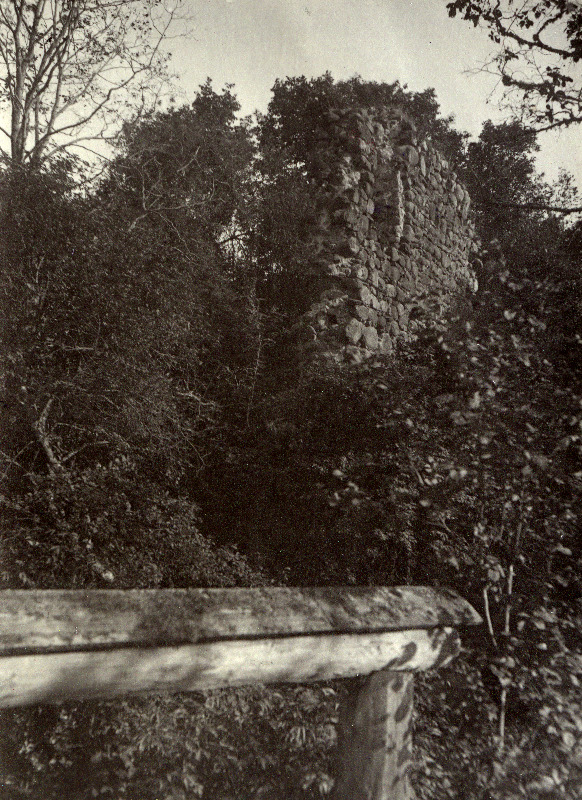 Tarvastu ordulinnuse varemed.