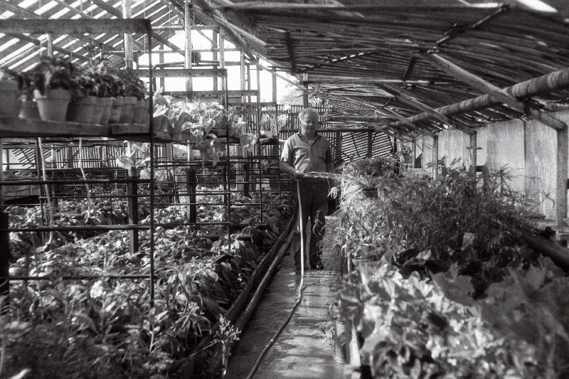 [Musta] tee aiandis, juhataja Jaan Jõekäär(s)?, rooside maja ja Anne Vahtra.