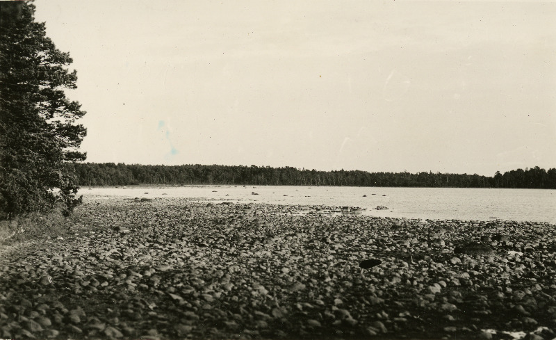 Vaade Kuusnõmme Rannajärvele  Suur silm.