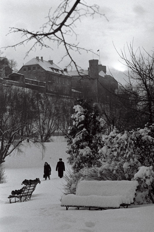 Talvine härmas Tallinn.