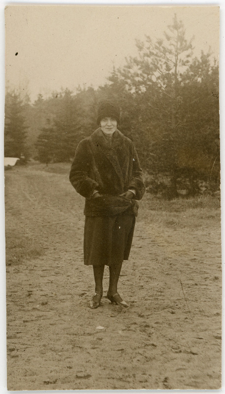 Emilie Vares seismas, taustal mets