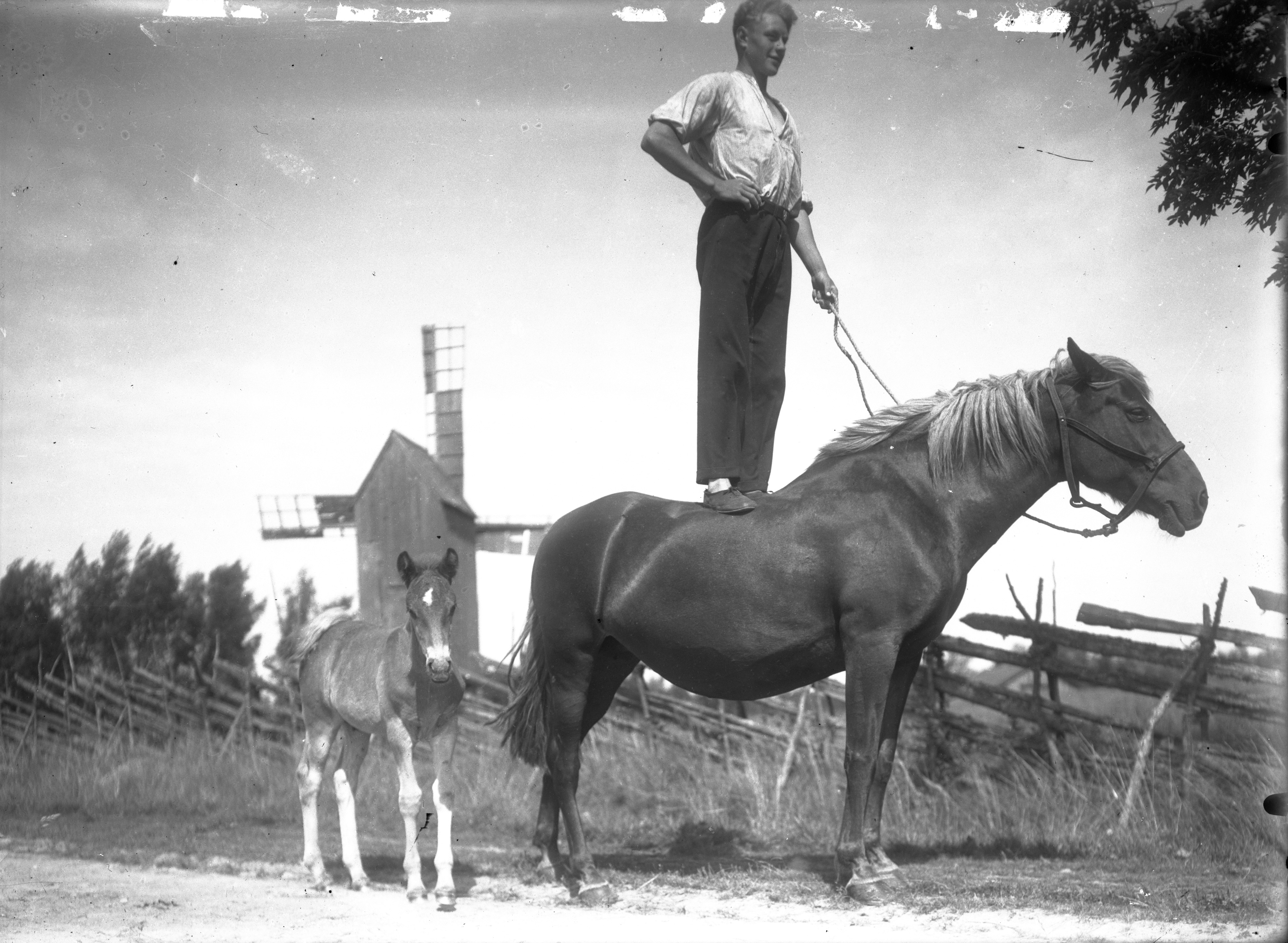 SLS 399b_14 Stå på hästryggen‎ (1930)
