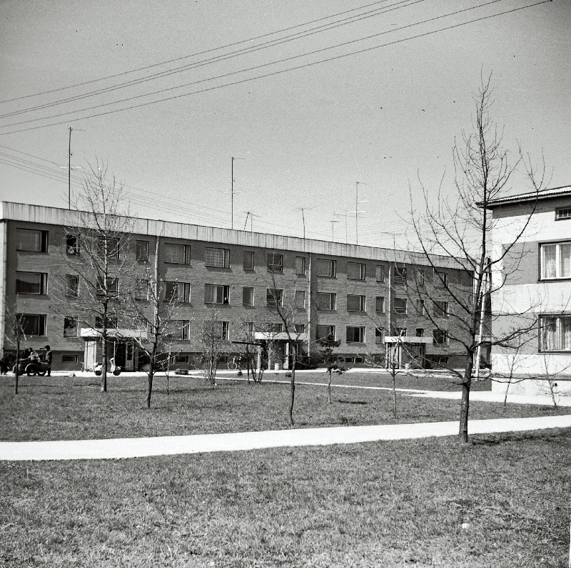Vaade elamule Harju rajooni Saue sovhoosis.