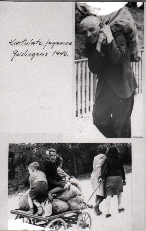 Eestlased paguluses. Kartulite jagamine Geislingeni DP (deported persons) laagris.
