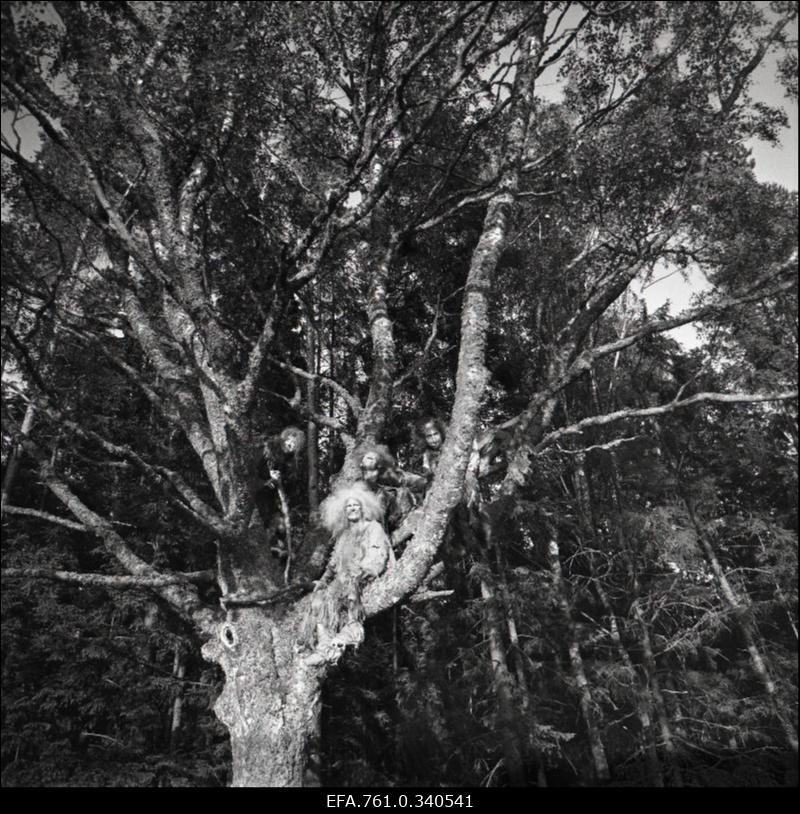 Stuudio "Tallinnfilm" muusikaline lastefilm "Nukitsamees".
Stseen filmist.