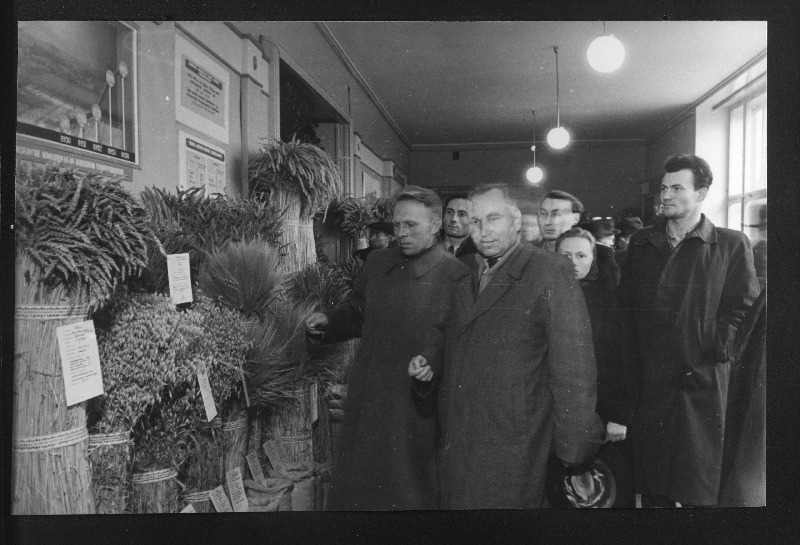 Läti NSV Cesise rajooni Sarkanais Oktoobris kolhoosi esimees M. Denissov (paremal) koos Türi rajooni Stalini nimelise kolhoosi agronoomi O. Ilusaga tutvumas väljapanekutega vabariigi põllumajandusnäitusel.