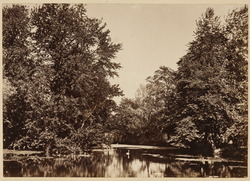 Tartu Ülikooli Botaanikaaia tiik