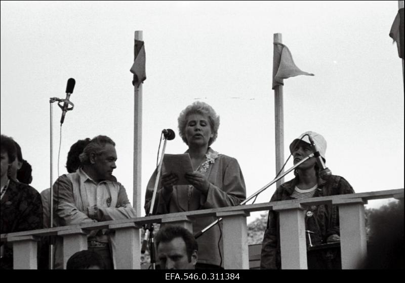 Delegatsioon lauluväljakul.