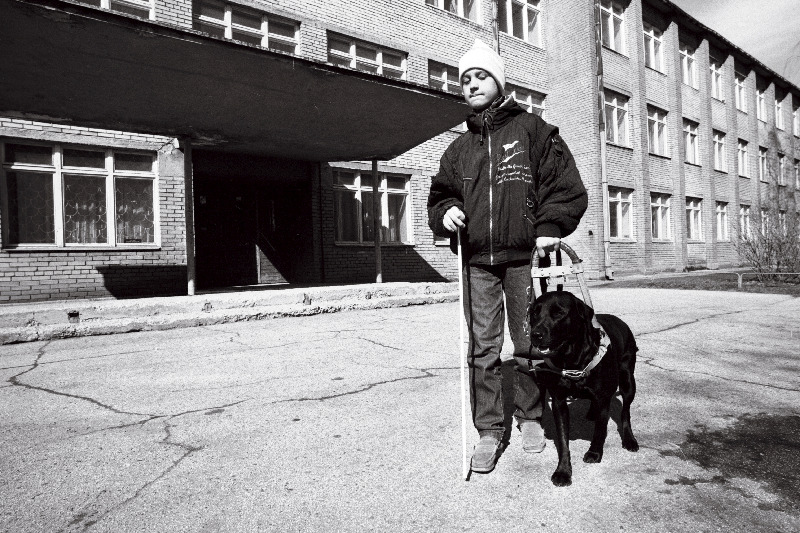 Labradori retriiver (koer) juhatab pimedat Allanit üle tee.