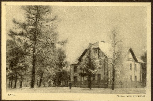 Seewald bei Reiffrost.