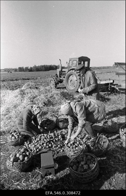 [Karuse] talupidamine.