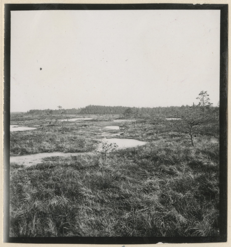 Ropazi soo Riiast idas