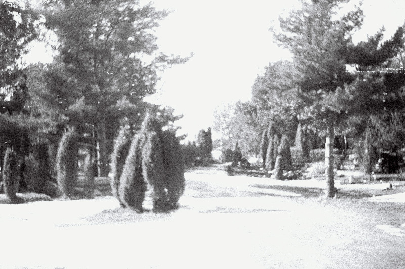 Vaade Pärnamäe kalmistule.
