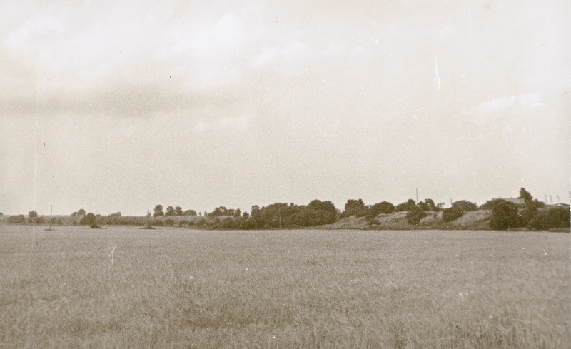 Klint Suurupi panganeemiku kaguosas.